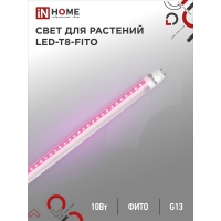IN HOME Лампа светодиодная LED-T8-FITO 10Вт 230В G13 600мм
