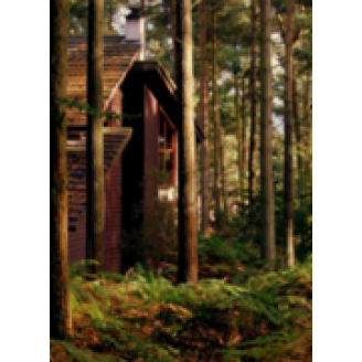 Инфракрасный плёночный обогреватель Дом в лесу